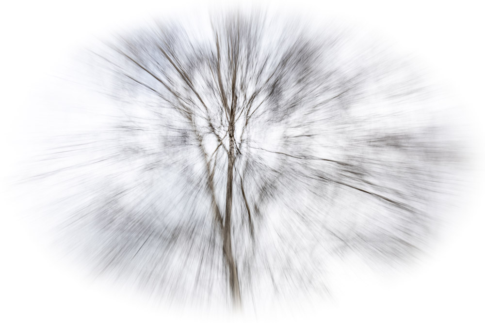 Platz 9 Roland Menigat